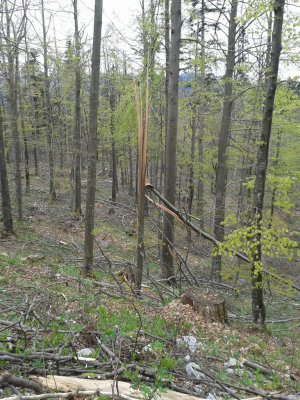 20140412_100851.jpg