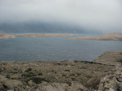 IMG_5346.JPG