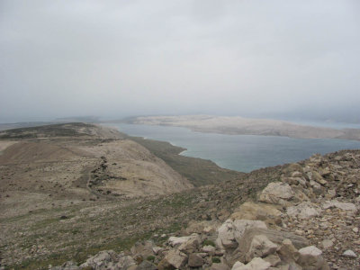 IMG_5351.JPG