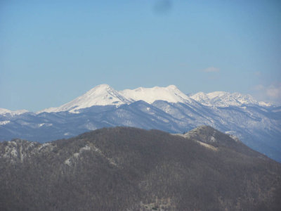 IMG_5355.JPG