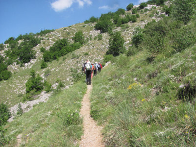 IMG_5716.jpg