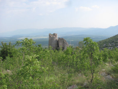 IMG_5754.jpg