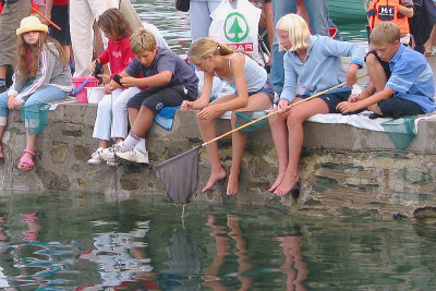 Crab Catching 5.jpg