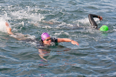 2011 Salcombe Regatta - Harbour swim