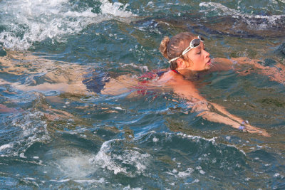 Harbour Swim - Photo #7964.jpg