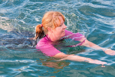 Harbour Swim - Photo #8070.jpg