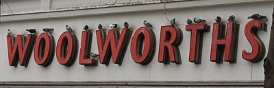 PAW5 - Pigeon Rest