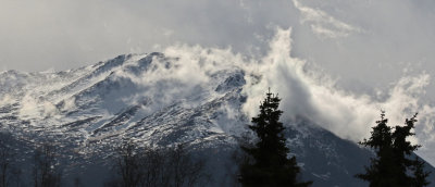 PAW10 - Misty Mountain