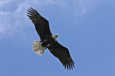 PAW19 - Soaring