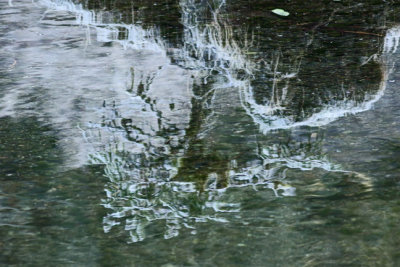 PAW1 - Wintry Reflection