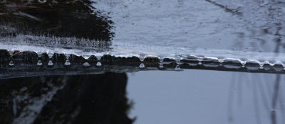 Ice Drops