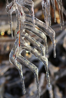 PAW2 - Icy Fingers