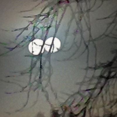 PAW6 - Window Whimsy