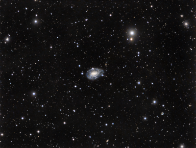 NGC 1784