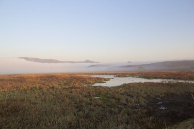 Wakkerstroom Wetland early morning