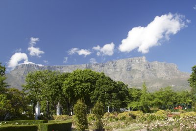 Table Mountain