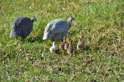 DSC_5430.jpg
