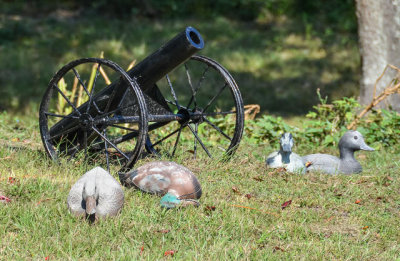 DSC_5451.jpg