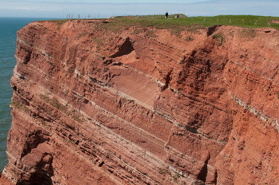 Die Helgolnder Klippen beherbergen die einzige Hochseevogelkolonie Deutschlands