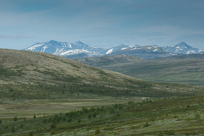 DSC_8128.jpg