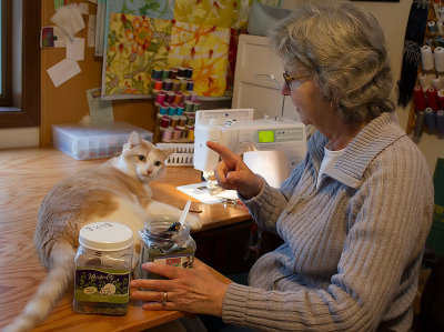 George-helps-make-catnip-toys-for-friends.jpg