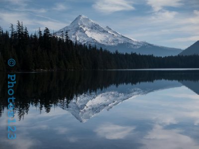 g9/33/362233/3/164463698.zNcuHC36.jpg