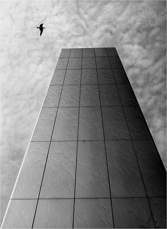 Solitude   