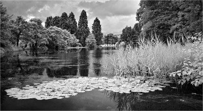 Tredegar House Lake