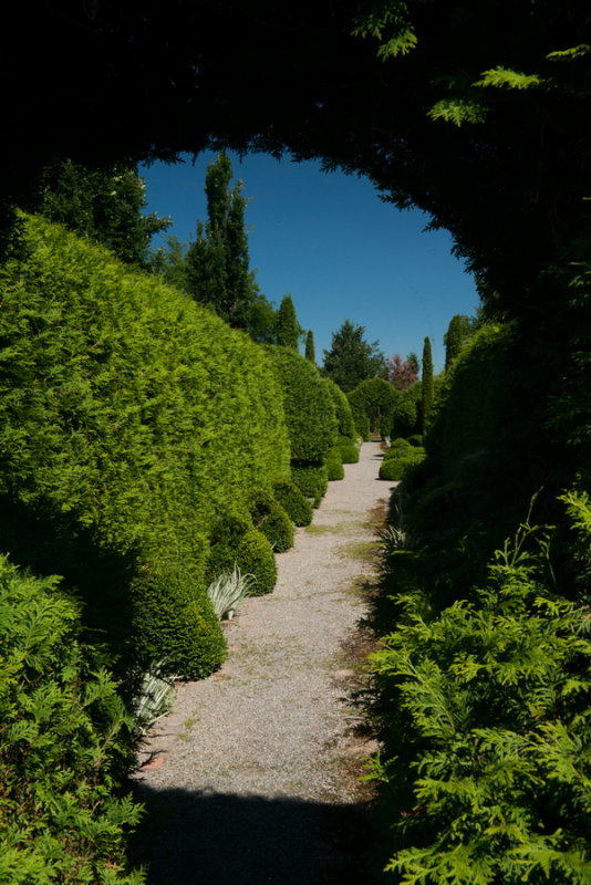 s140724-02-Jardin des Curiosites.jpg