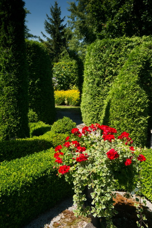 s140724-03-Jardin des Curiosites.jpg