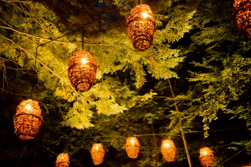 140810-22-Foresta Lumina - Coaticook.jpg