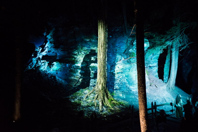 140810-31-Foresta Lumina - Coaticook.jpg
