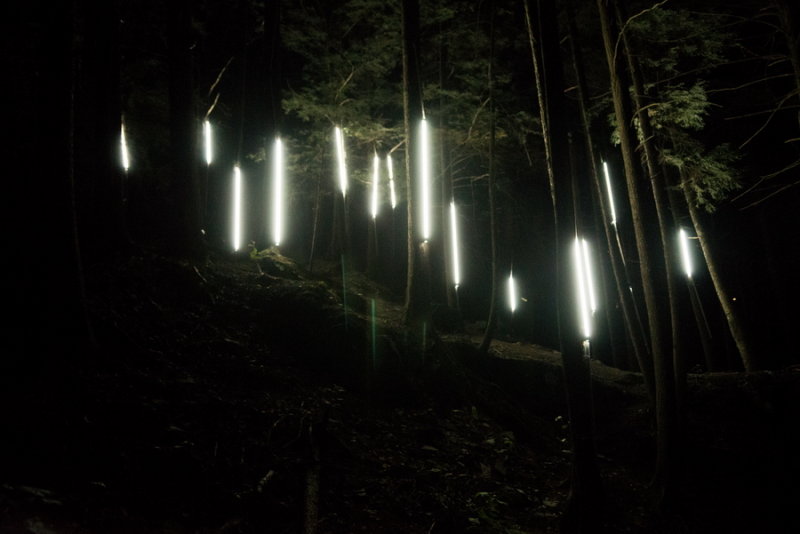 140810-33-Foresta Lumina - Coaticook.jpg