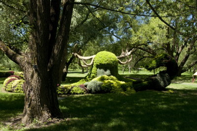 130722-29-Jardin Botanique de Montreal.jpg