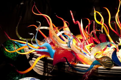 130817-27-Expo Chihuly.jpg