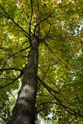 131002-07-Mont St-Gregoire - Escalade.jpg