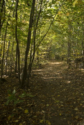 131002-08-Mont St-Gregoire - Escalade.jpg
