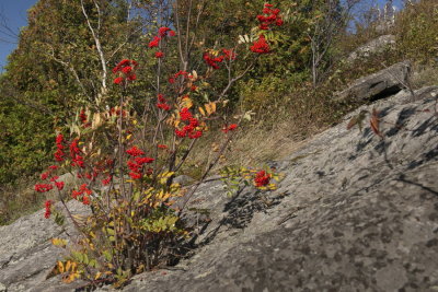 131002-14-Mont St-Gregoire - Escalade.jpg