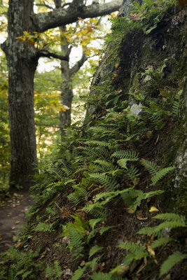 131002-18-Mont St-Gregoire - Escalade.jpg
