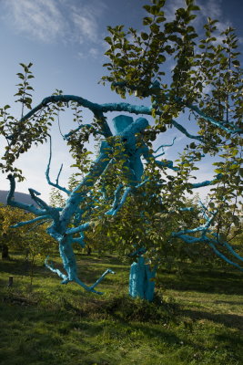 s131020-02-Land Art 2013 - MSH.jpg