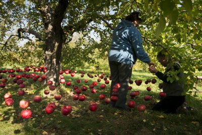 s131020-04-Land Art 2013 - MSH.jpg