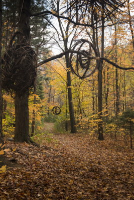 s131020-09-Land Art 2013 - MSH.jpg