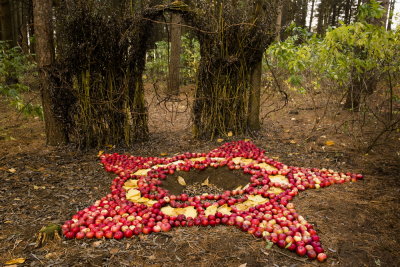 s131020-19-Land Art 2013 - MSH.jpg
