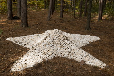 s131020-21-Land Art 2013 - MSH.jpg