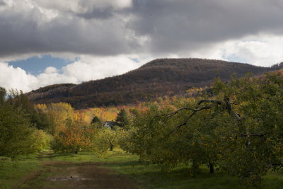 Land Art 2013 - Mont-St-Hilaire