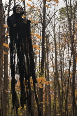 131025-16-Parc de Longueuil.jpg