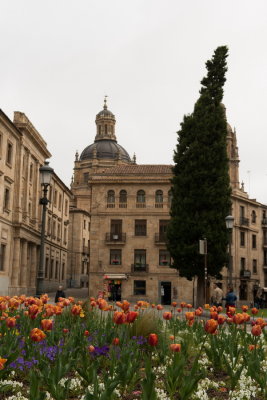 Salamanca