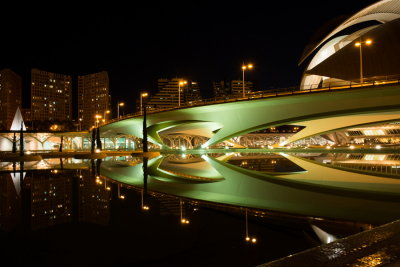 140503-618-Valencia-Cite Arts & sciences - de nuit.jpg