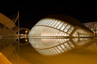 140503-619-Valencia-Cite Arts & sciences - de nuit.jpg