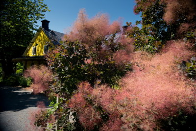 s140724-01-Jardin des Curiosites.jpg